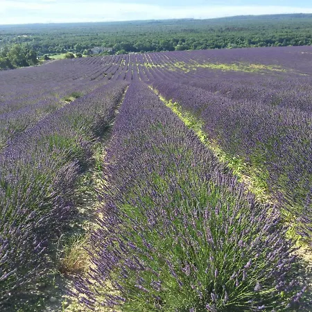 Gites Les Oiseaux Voyageurs Le Douny * Grignan